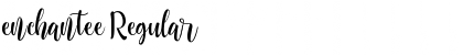 Download enchantee Font Download enchantee Font