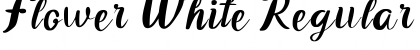 Download Flower White Font Download Flower White Font