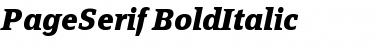Download PageSerif-BoldItalic Font Download PageSerif-BoldItalic Font