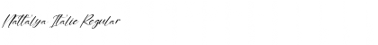 Download Nattalya Italic Font Download Nattalya Italic Font
