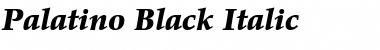 Download Palatino-Black Font Download Palatino-Black Font