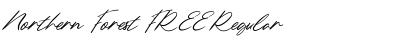 Download Northern Forest FREE Font Download Northern Forest FREE Font
