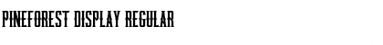 Download Pineforest Display Font Download Pineforest Display Font