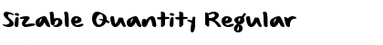 Download Sizable Quantity Font Download Sizable Quantity Font