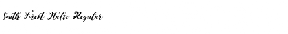 Download South Forest Italic Font Download South Forest Italic Font