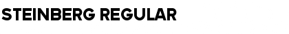 Download Steinberg Font Download Steinberg Font