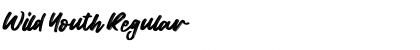Download Wild Youth Font Download Wild Youth Font