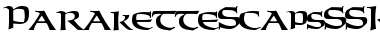 Download ParaketteScapsSSK Font Download ParaketteScapsSSK Font