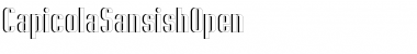 Download Capicola Sansish Open Font Download Capicola Sansish Open Font