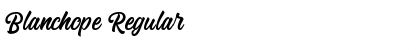 Download Blanchope Font Download Blanchope Font