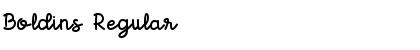 Download Boldins Font Download Boldins Font