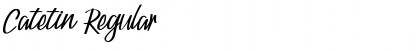 Download Catetin Font Download Catetin Font