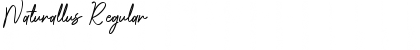 Download Naturallus Font Download Naturallus Font