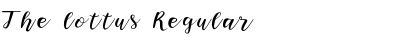 Download The lottus Font Download The lottus Font