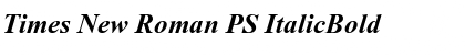 Download Times New Roman PS Font