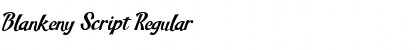 Download Blankeny Script Font Download Blankeny Script Font