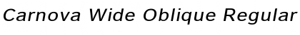Download Carnova Wide Oblique Font Download Carnova Wide Oblique Font