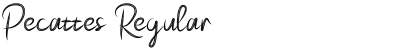 Download Pecattes Font Download Pecattes Font