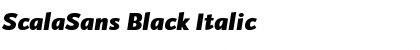 Download ScalaSans Black Font Download ScalaSans Black Font