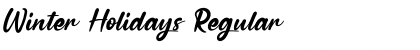 Download Winter Holidays Font Download Winter Holidays Font