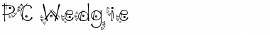 Download PC Wedgie Font Download PC Wedgie Font