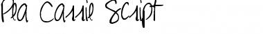 Download Pea Carrie Script Font Download Pea Carrie Script Font