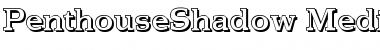 Download PenthouseShadow-Medium Font Download PenthouseShadow-Medium Font