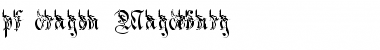 Download pf_dragon_Magdeburg Font Download pf_dragon_Magdeburg Font