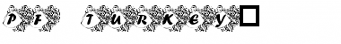 Download pf_turkey2 Font Download pf_turkey2 Font