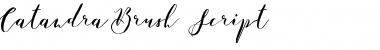 Download Catandra Brush Script Font Download Catandra Brush Script Font