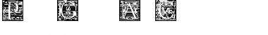 Download Picto Glyphs AltC Font Download Picto Glyphs AltC Font