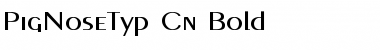 Download PigNoseTyp Cn Bold Font Download PigNoseTyp Cn Bold Font
