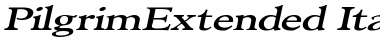 Download PilgrimExtended Font Download PilgrimExtended Font