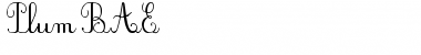 Download PlumBAE Font Download PlumBAE Font
