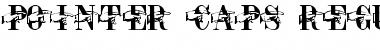 Download Pointer Caps Regular Font Download Pointer Caps Regular Font