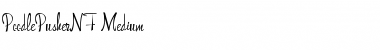 Download PoodlePusherNF Font Download PoodlePusherNF Font