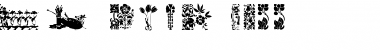 Download PrackensStuff20 Font Download PrackensStuff20 Font