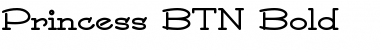 Download Princess BTN Font Download Princess BTN Font