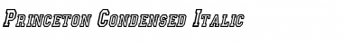 Download Princeton Condensed Font Download Princeton Condensed Font