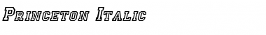 Download Princeton Font Download Princeton Font