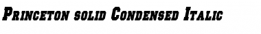 Download Princeton solid Condensed Font Download Princeton solid Condensed Font