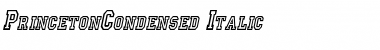 Download PrincetonCondensed Font Download PrincetonCondensed Font
