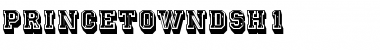 Download PrincetownDSh1 Font Download PrincetownDSh1 Font