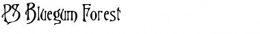 Download PS Bluegum Forest Font Download PS Bluegum Forest Font
