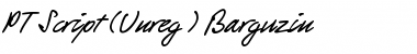 Download PT Script (Unreg.) Barguzin Font Download PT Script (Unreg.) Barguzin Font