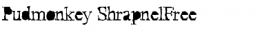 Download Pudmonkey ShrapnelFree Font Download Pudmonkey ShrapnelFree Font
