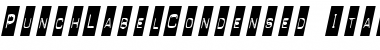Download PunchLabelCondensed Font Download PunchLabelCondensed Font