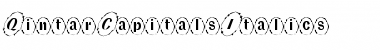 Download QintarCapitalsItalics Font Download QintarCapitalsItalics Font
