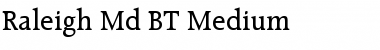 Download Raleigh Md BT Font Download Raleigh Md BT Font