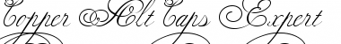 Download Copper Alt Caps Expert Font Download Copper Alt Caps Expert Font